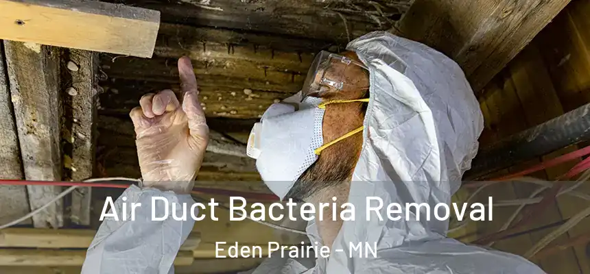  Air Duct Bacteria Removal Eden Prairie - MN