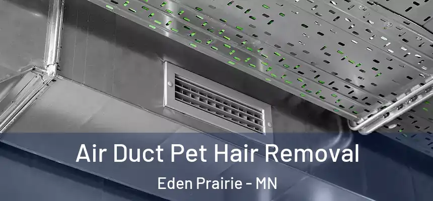  Air Duct Pet Hair Removal Eden Prairie - MN