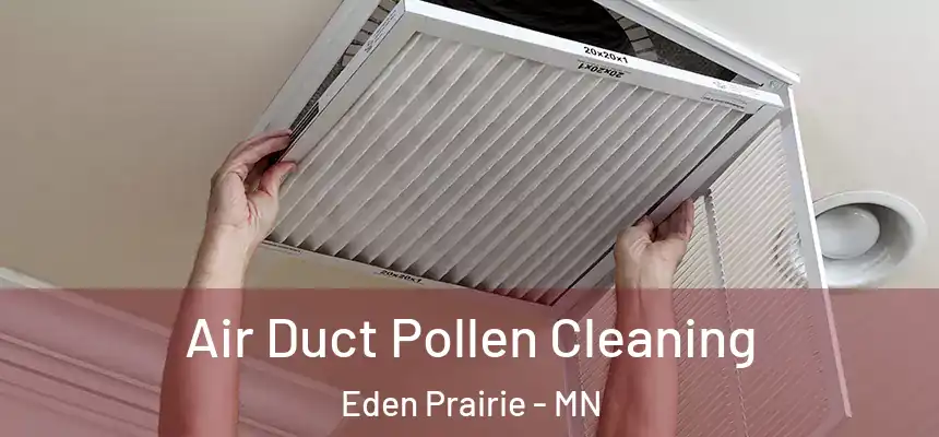  Air Duct Pollen Cleaning Eden Prairie - MN