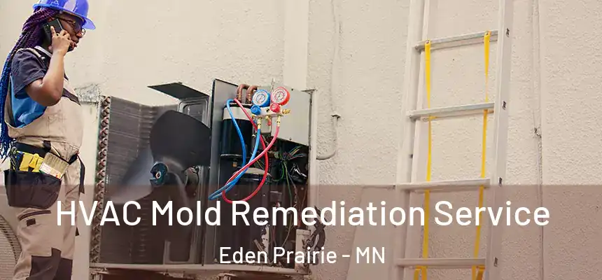 HVAC Mold Remediation Service Eden Prairie - MN