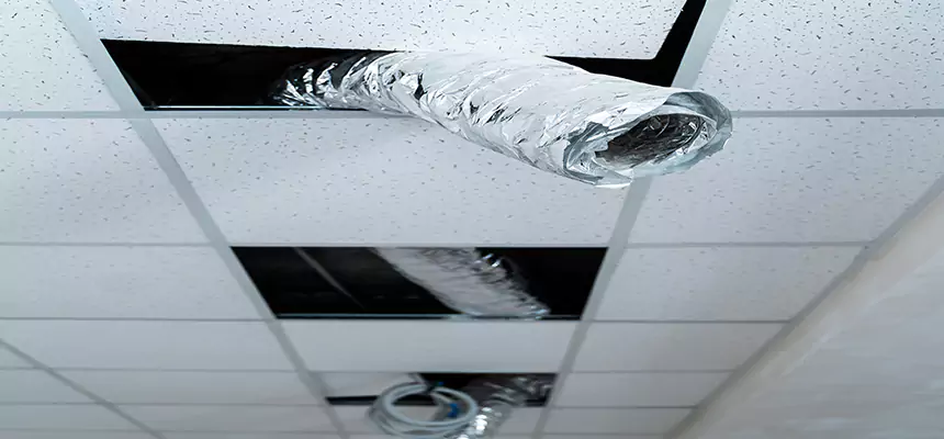 Our Air Duct Pet Hair Removal Services in Eden Prairie, MN