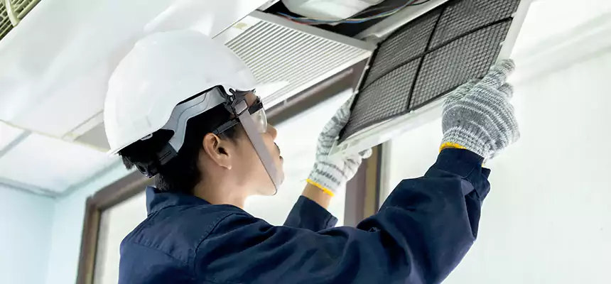 Our Mold & Mildew Removal from Air Ducts Services in Eden Prairie, MN