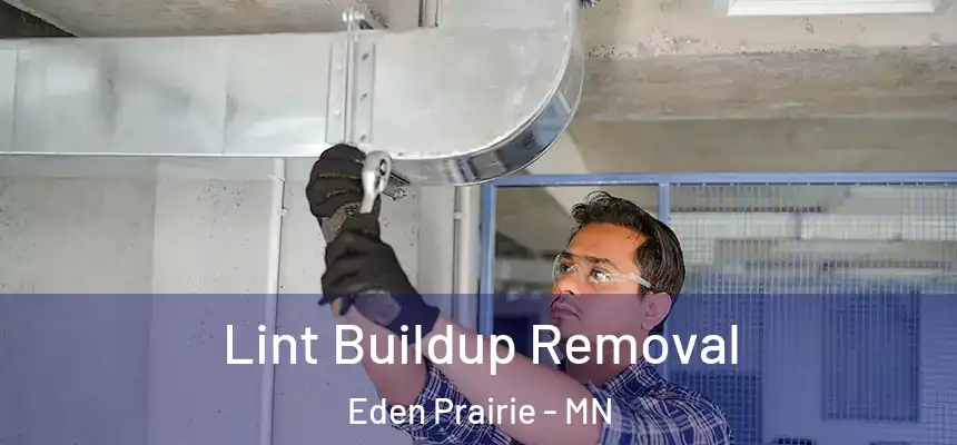 Lint Buildup Removal Eden Prairie - MN