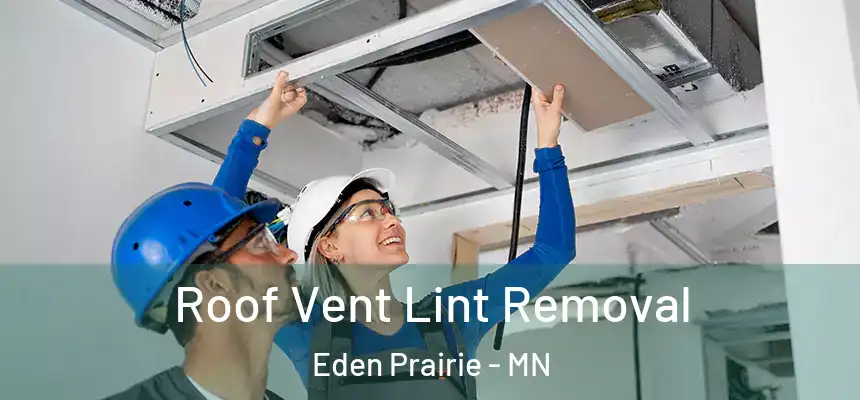  Roof Vent Lint Removal Eden Prairie - MN