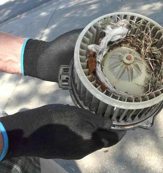 About Air Duct Rat Removal in Eden Prairie, MN