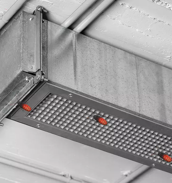 Affordable Insect Removal from Air Ducts in Eden Prairie, MN