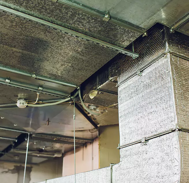 Why Homeowners & Businesses Trust Us in Eden Prairie, MN?